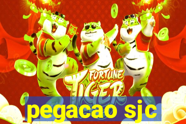 pegacao sjc